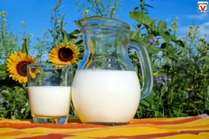 Foods to avoid with milk