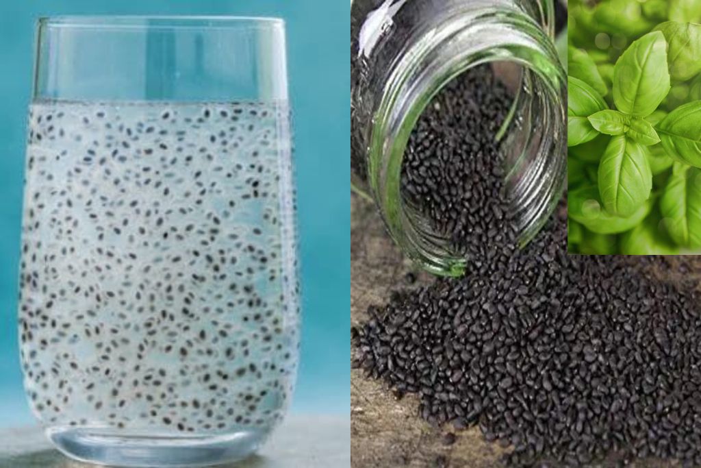 benefits-of-basil-seeds