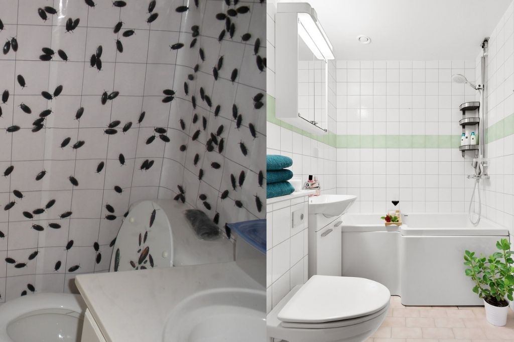 Tips to remove Insects In Bathroom