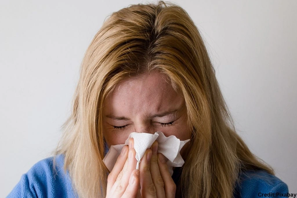 Seasonal Flu: क्या मौसम बदलने से हो गया है सर्दी- जुकाम? इन घरेलू उपायों से तुरंत हो जाएंगे स्वस्थ