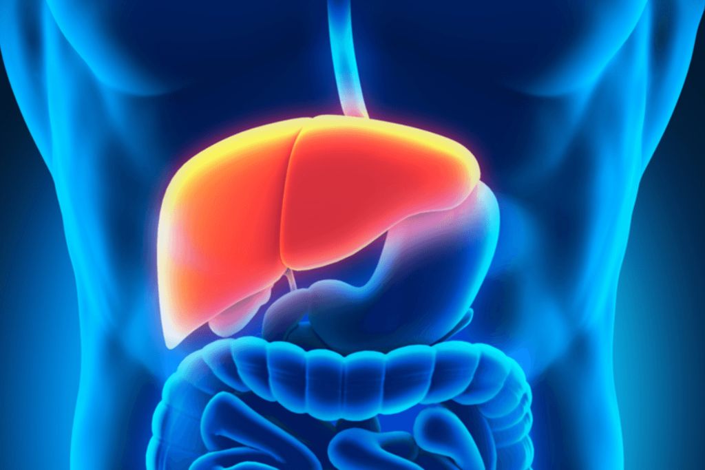 Liver Disease