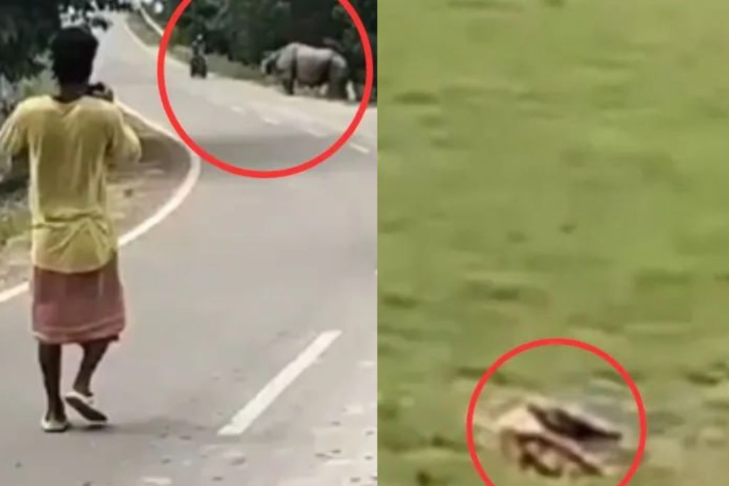 Rhino Attack: गैंडे ने बाइक वाले को दौड़ाकर रौंदा, कुचल दिया सिर, कैमरे में कैद हुआ मौत का लाइव वीडियो