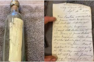 Hidden Message in Bottle
