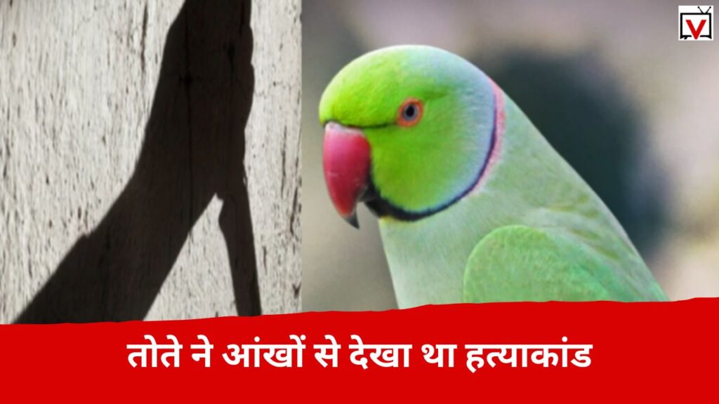 Parrot Solve Murder case