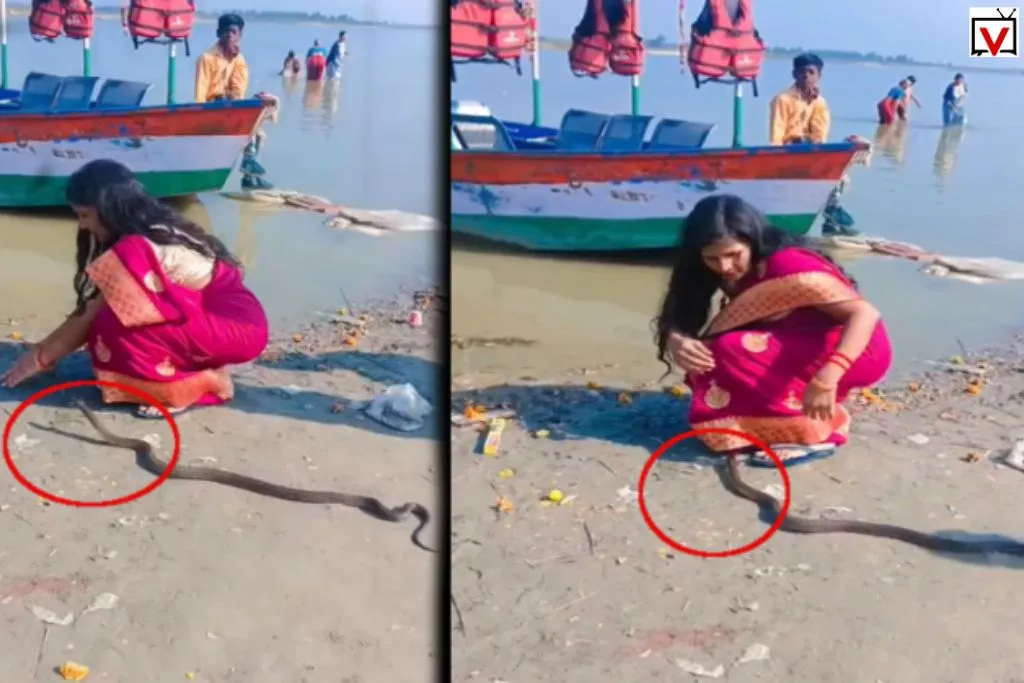 Snake came near woman: पूजा कर रही थी म​हिला, तभी पीछे आ गया सांप, फिर जो हुआ देखकर हिल जाएगा दिमाग